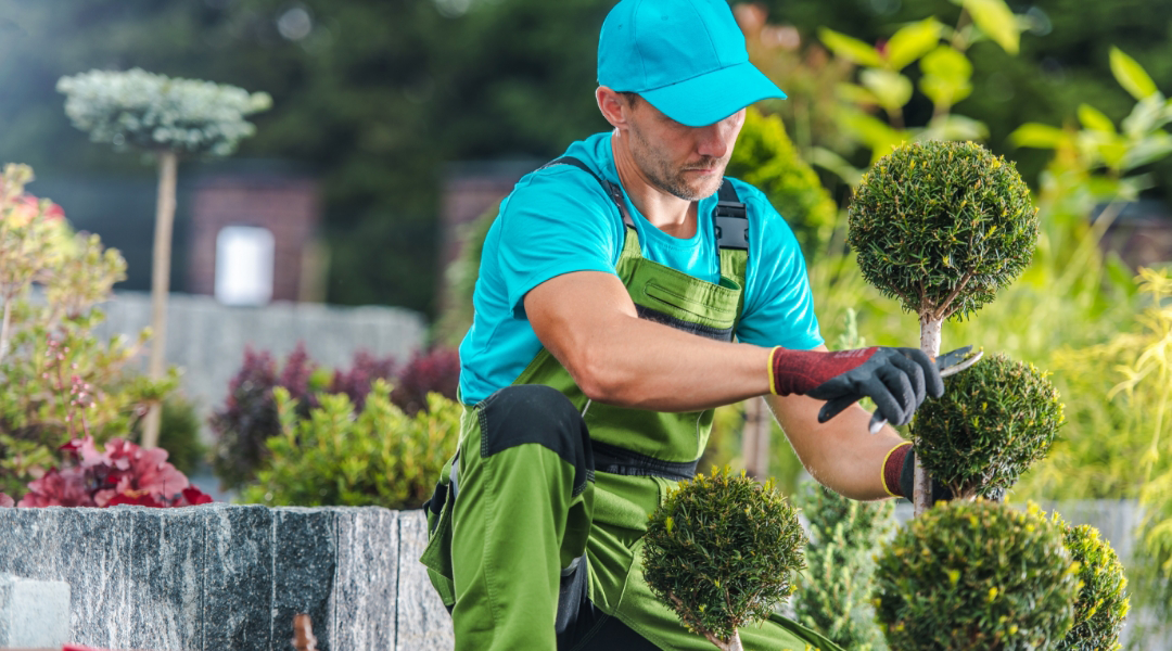 hospitality groundskeeper taking care of plants